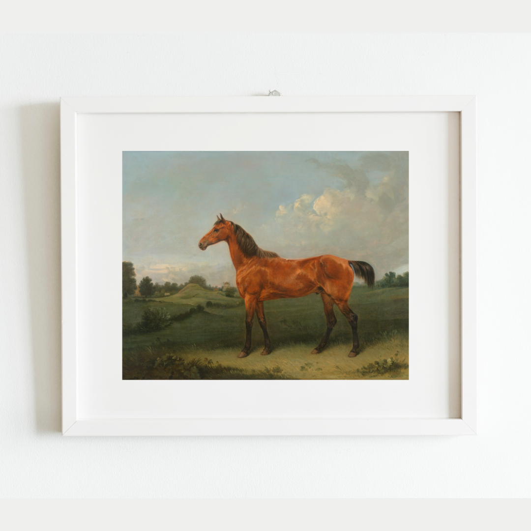 British Bay Horse in a Field Antique Art Print