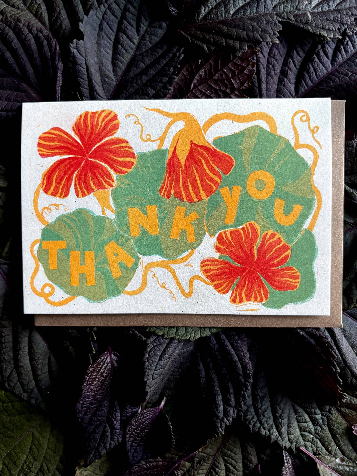 Nasturtium Thank You