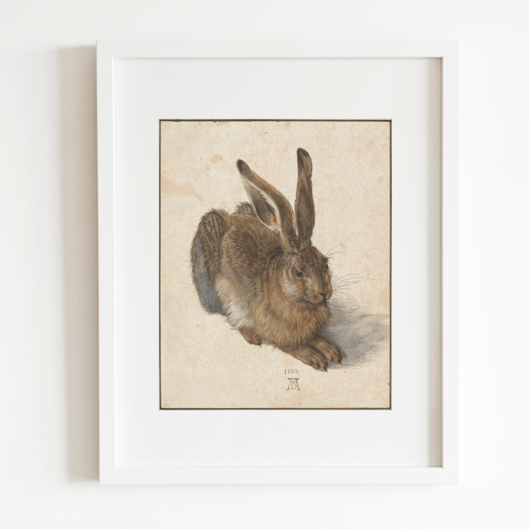Young Hare Art Print