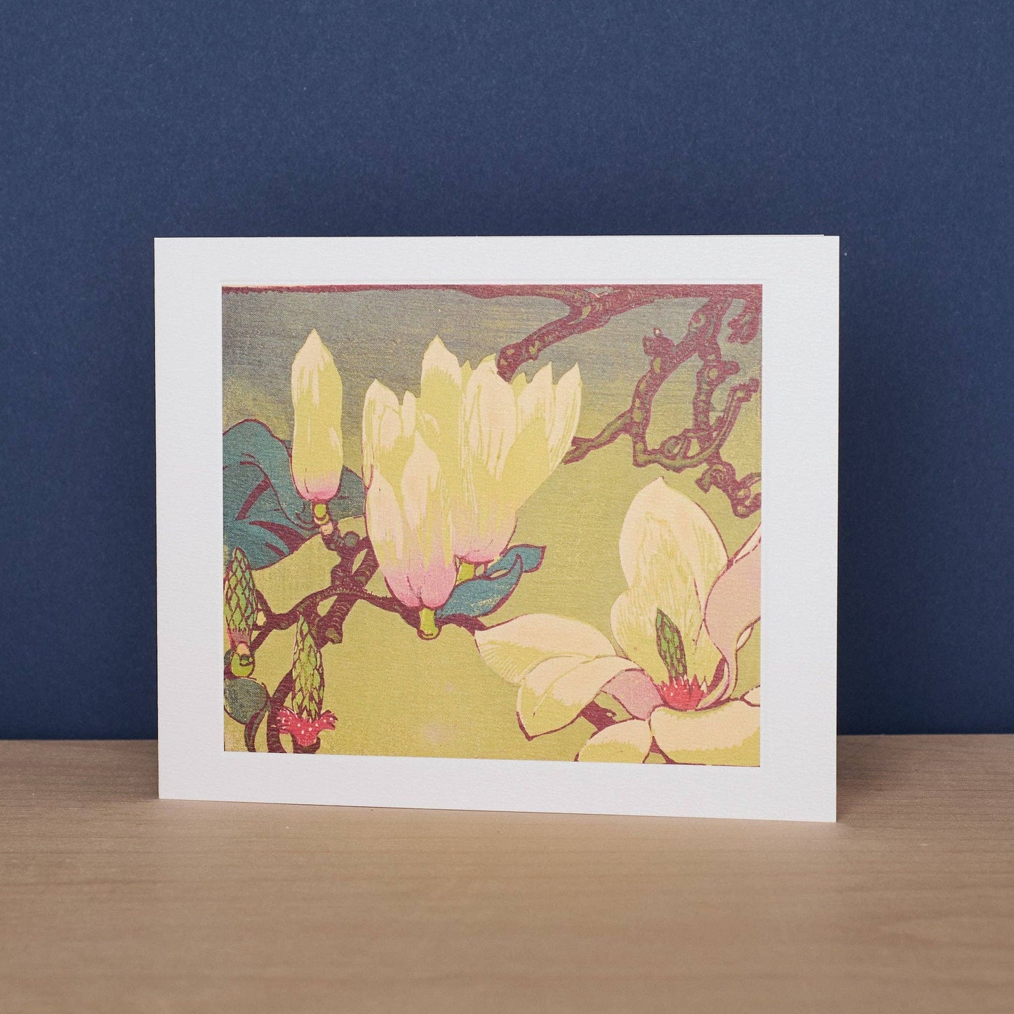 Magnolia