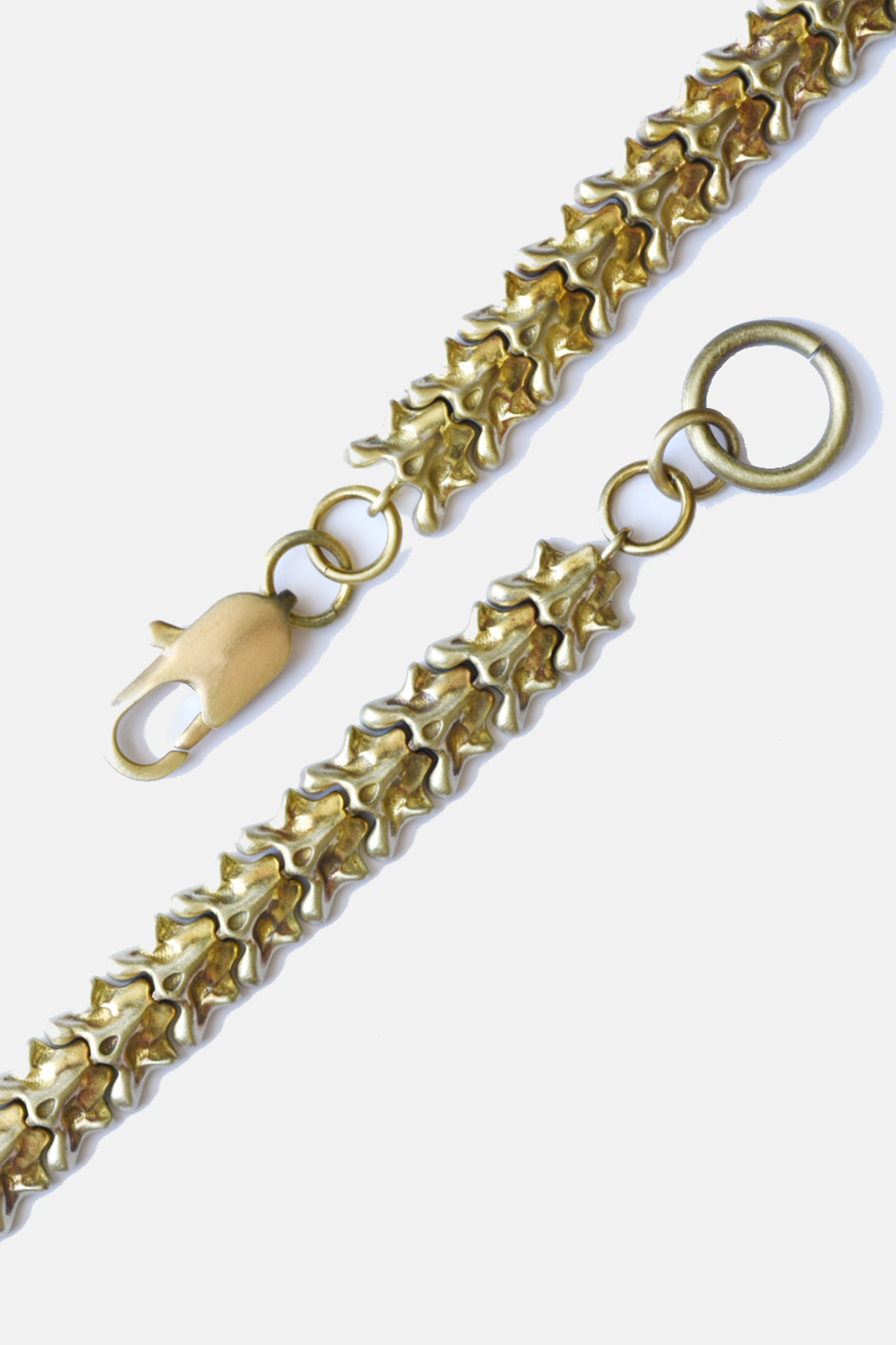 Vertebrate Chain Bracelet: Brass