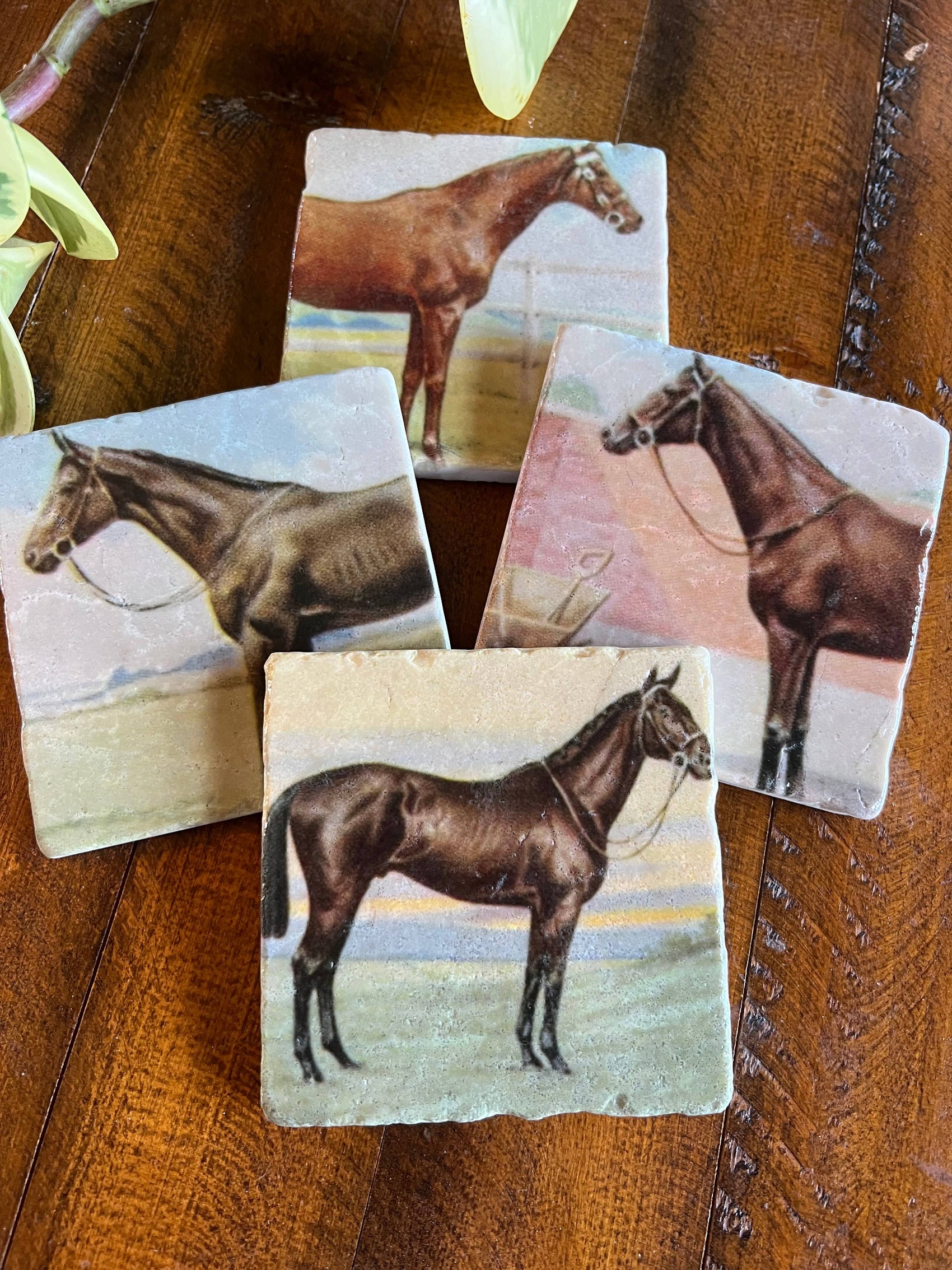 Vintage Horse stone coasters - case of 4