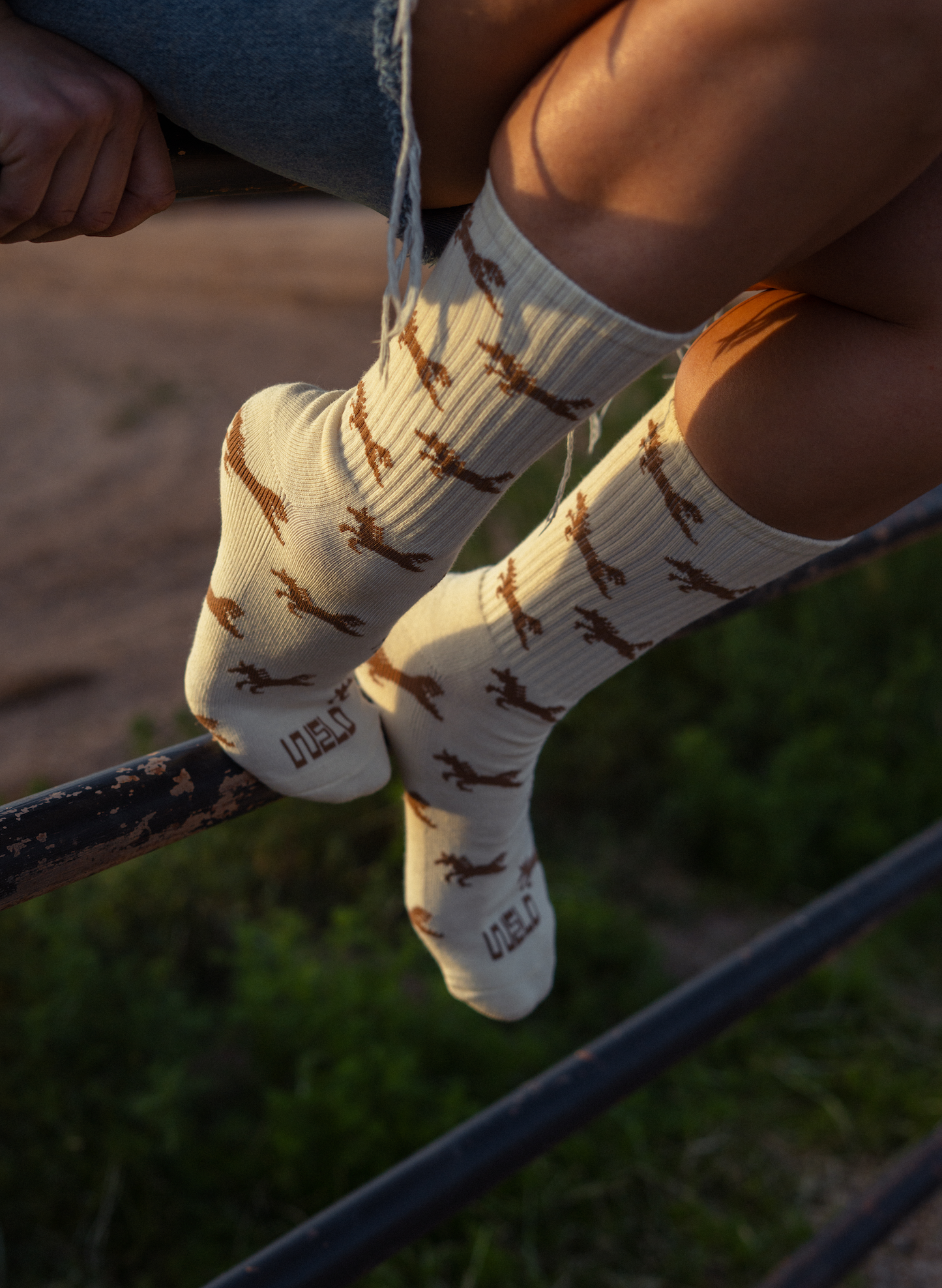 Giddy Up Socks