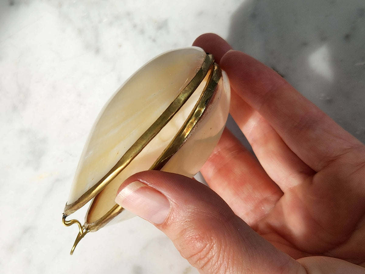 Mini Clam Trinket Pill Box & Coin Purse