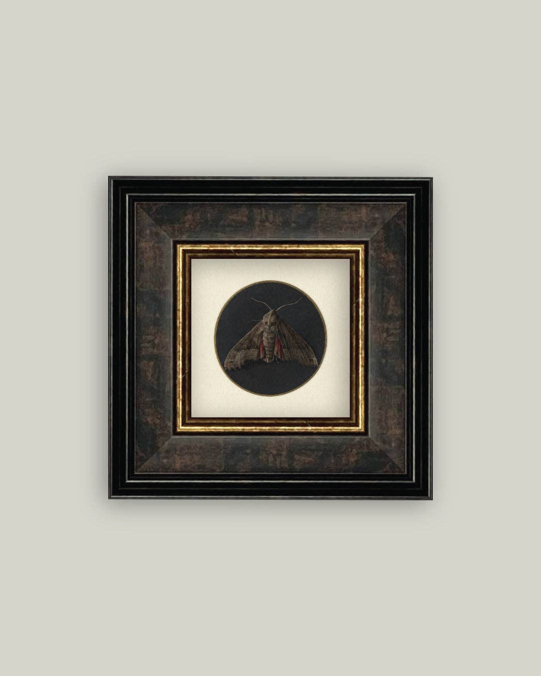 Dark Moth