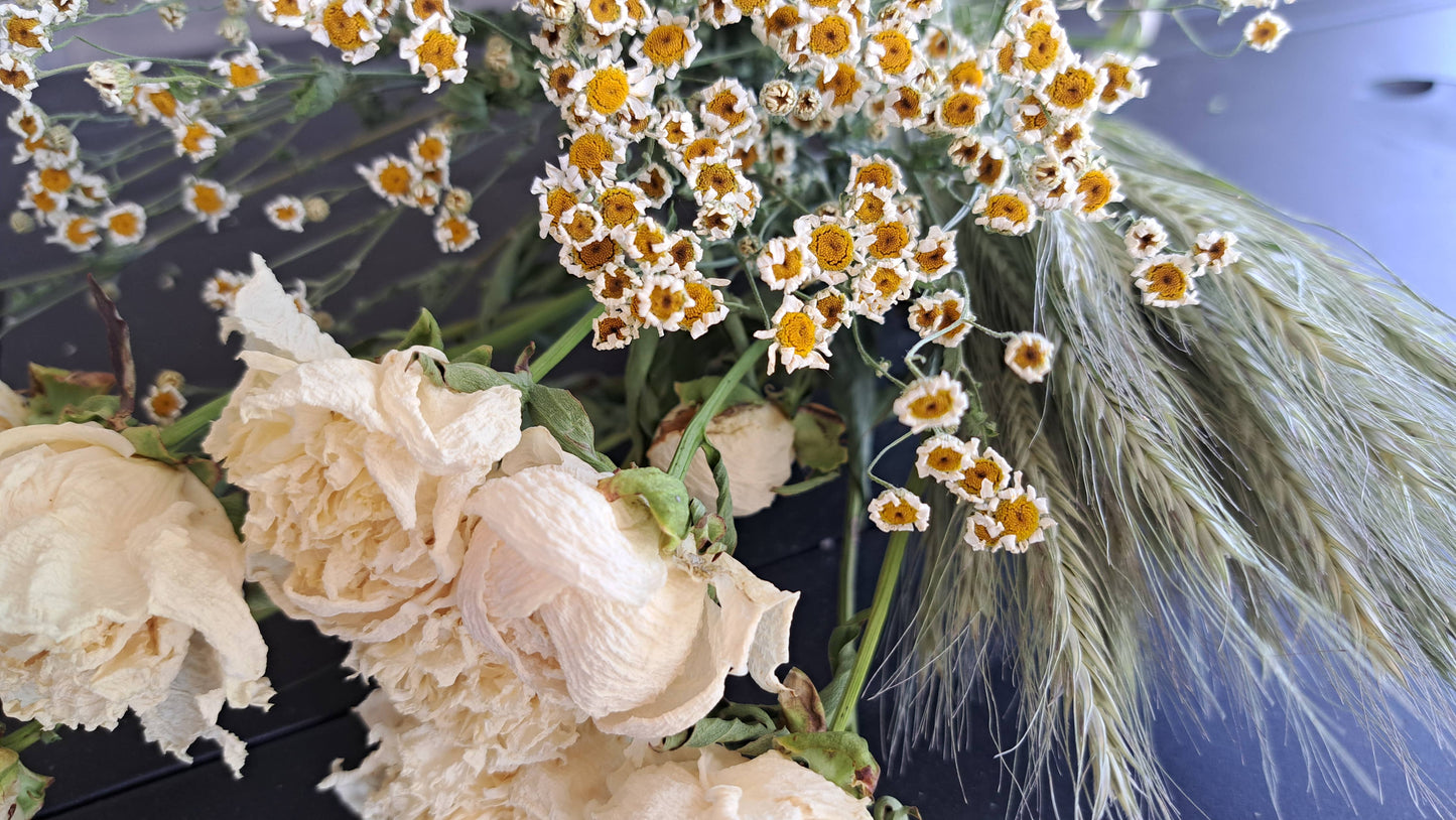 Feverfew, Magic Single