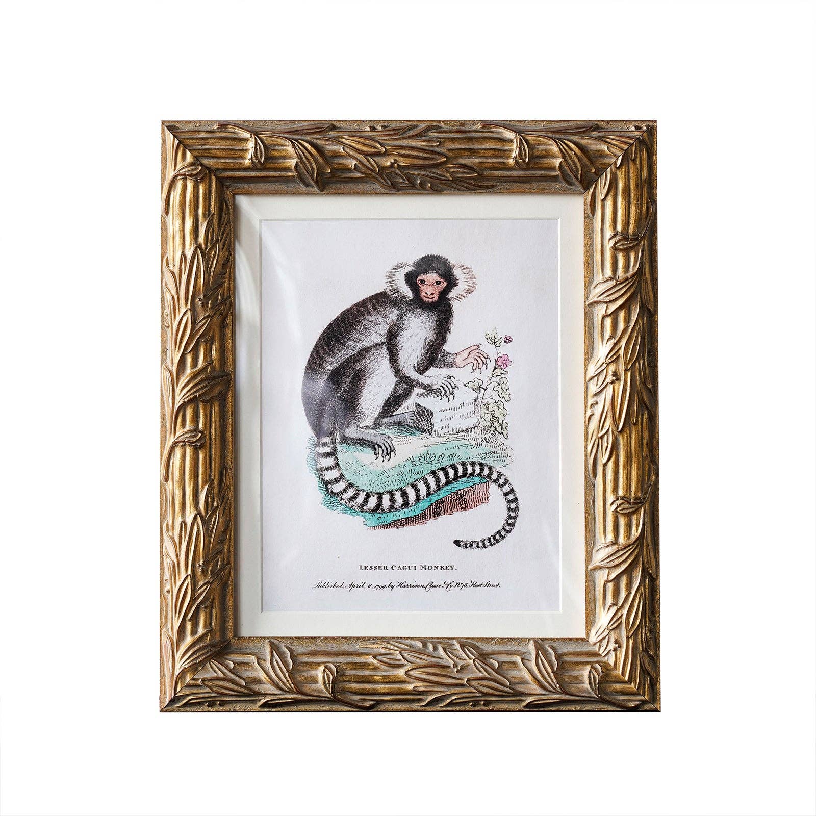 Hampshire Matted Frame