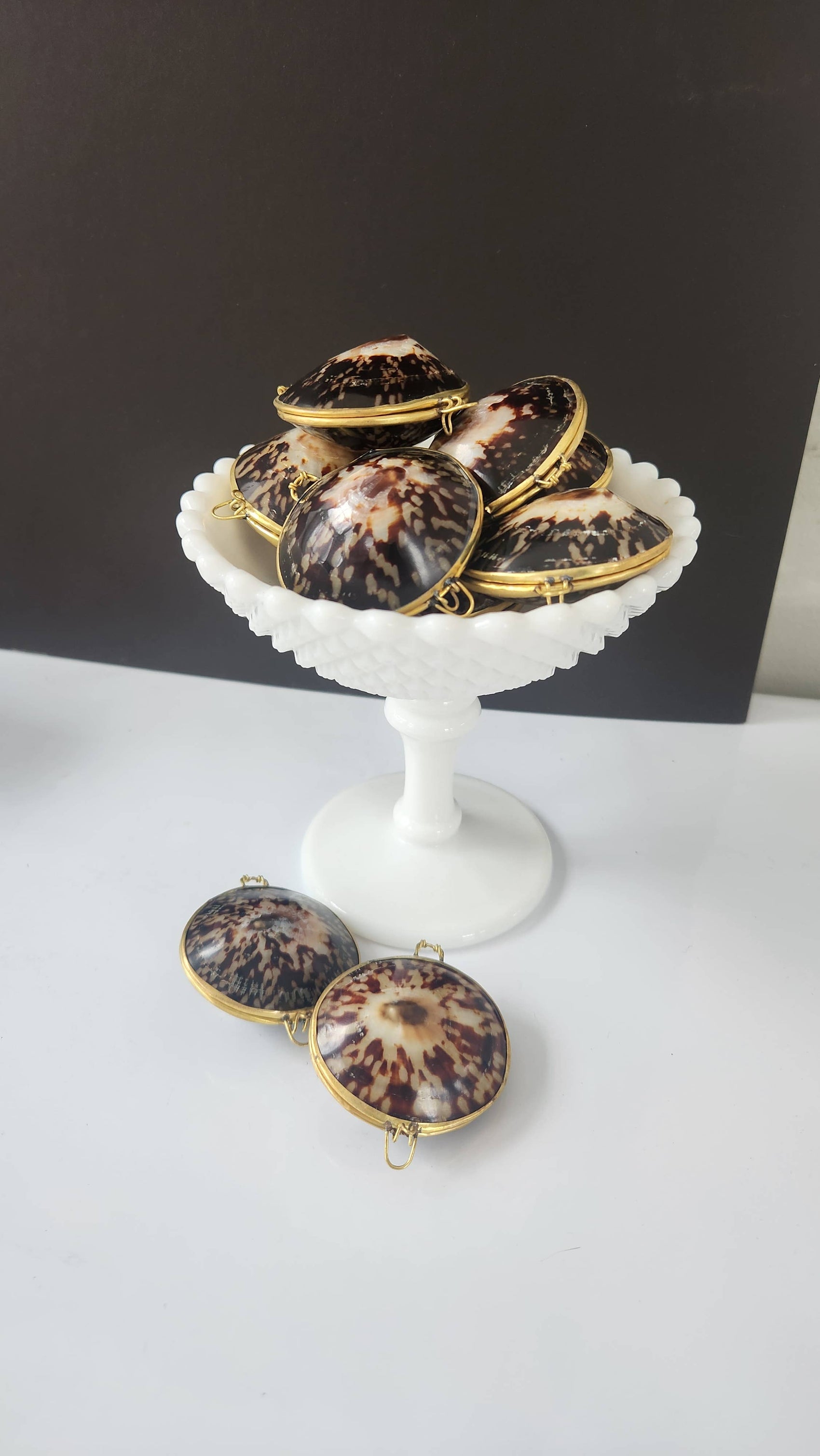 Polished Limpet Trinket Pill Box, Coin Purse