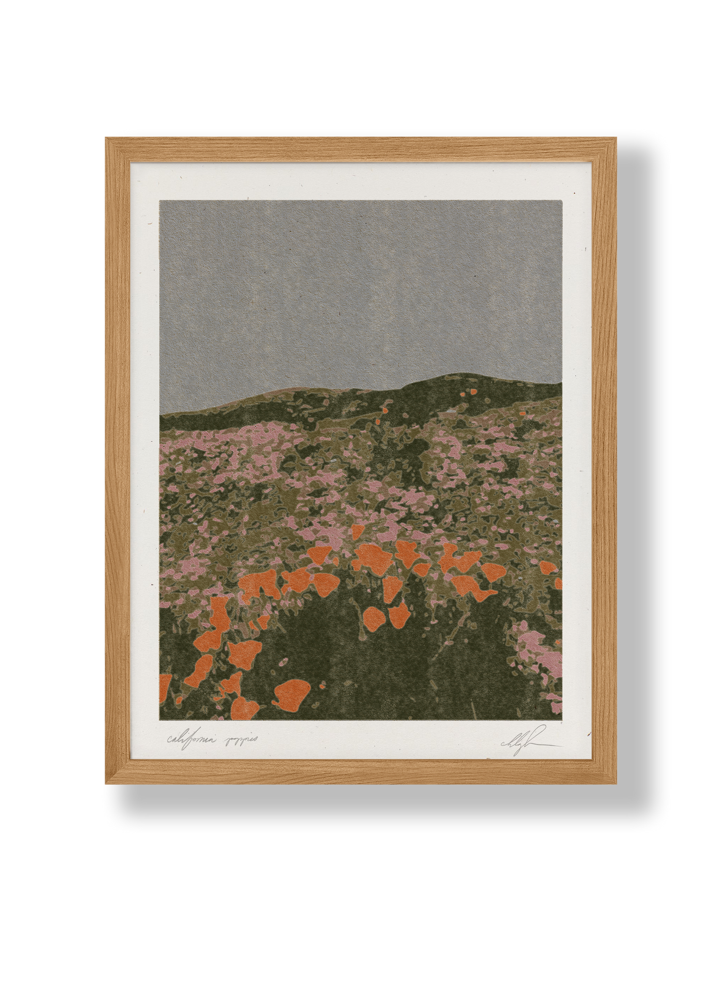 California Poppies: 8.5 x 11