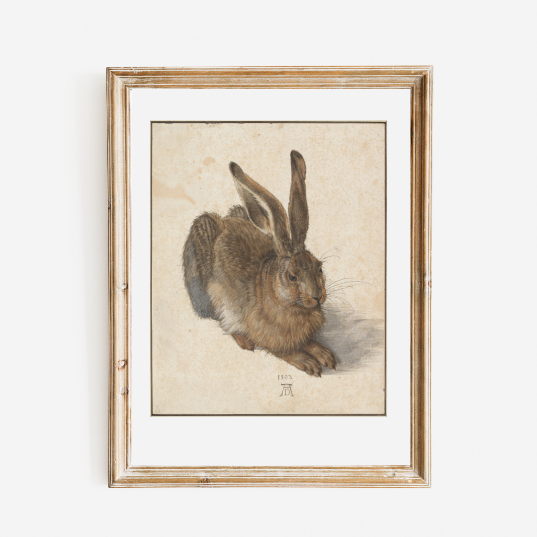 Young Hare Art Print