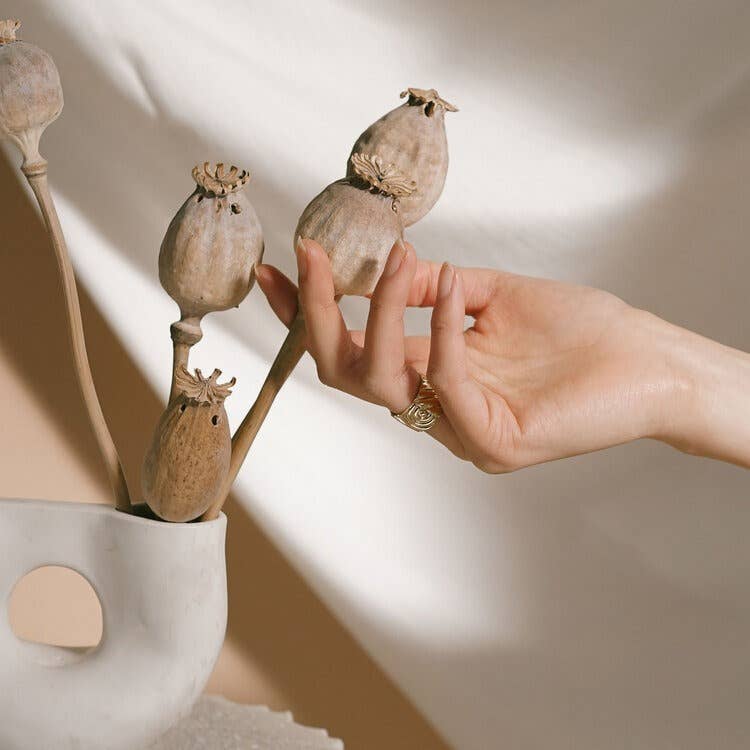 Chloe Ring: 8