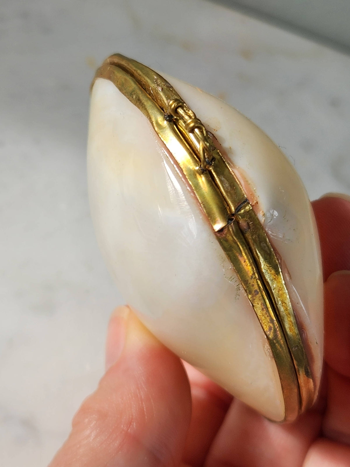 Mini Clam Trinket Pill Box & Coin Purse