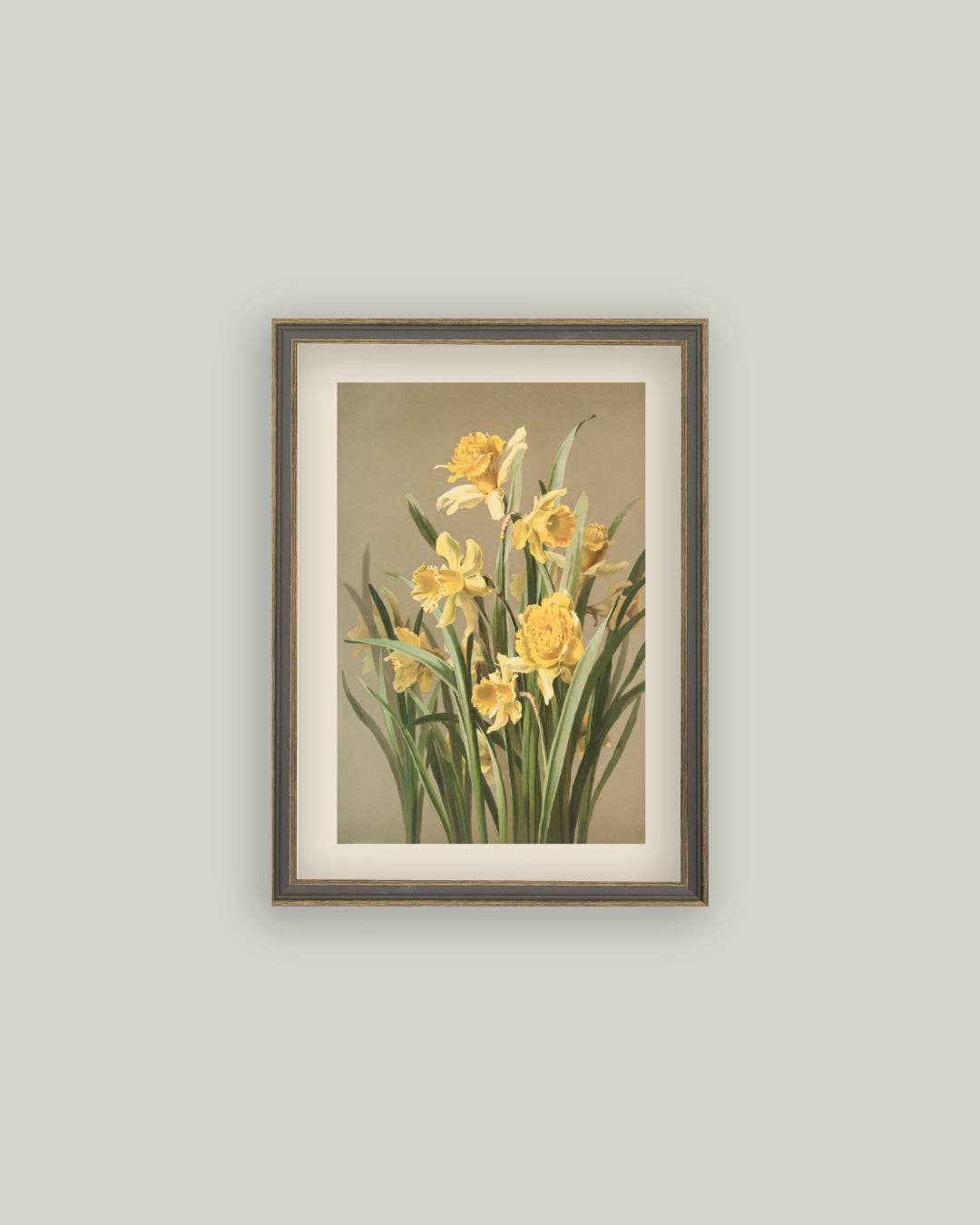 Yellow Daffodil Framed Antique Art
