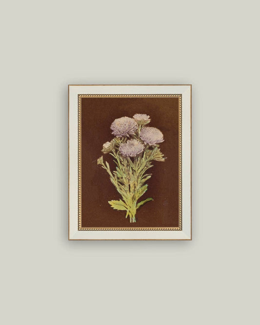 Lilac Dahlia on Brown: 4x6