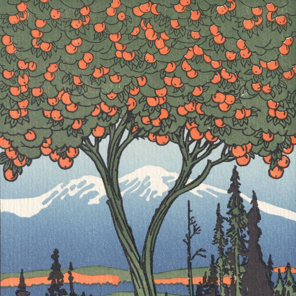Orange Tree