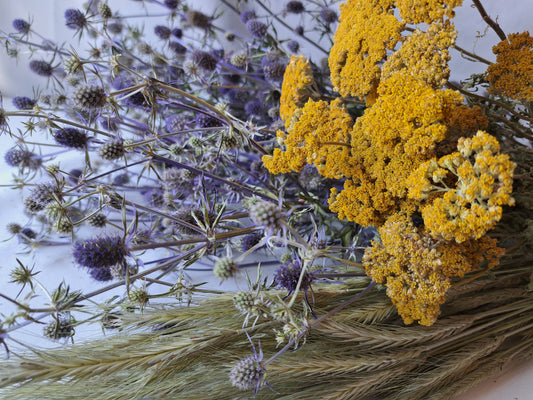 Eryngium-Blue Glitter-Dried Flower