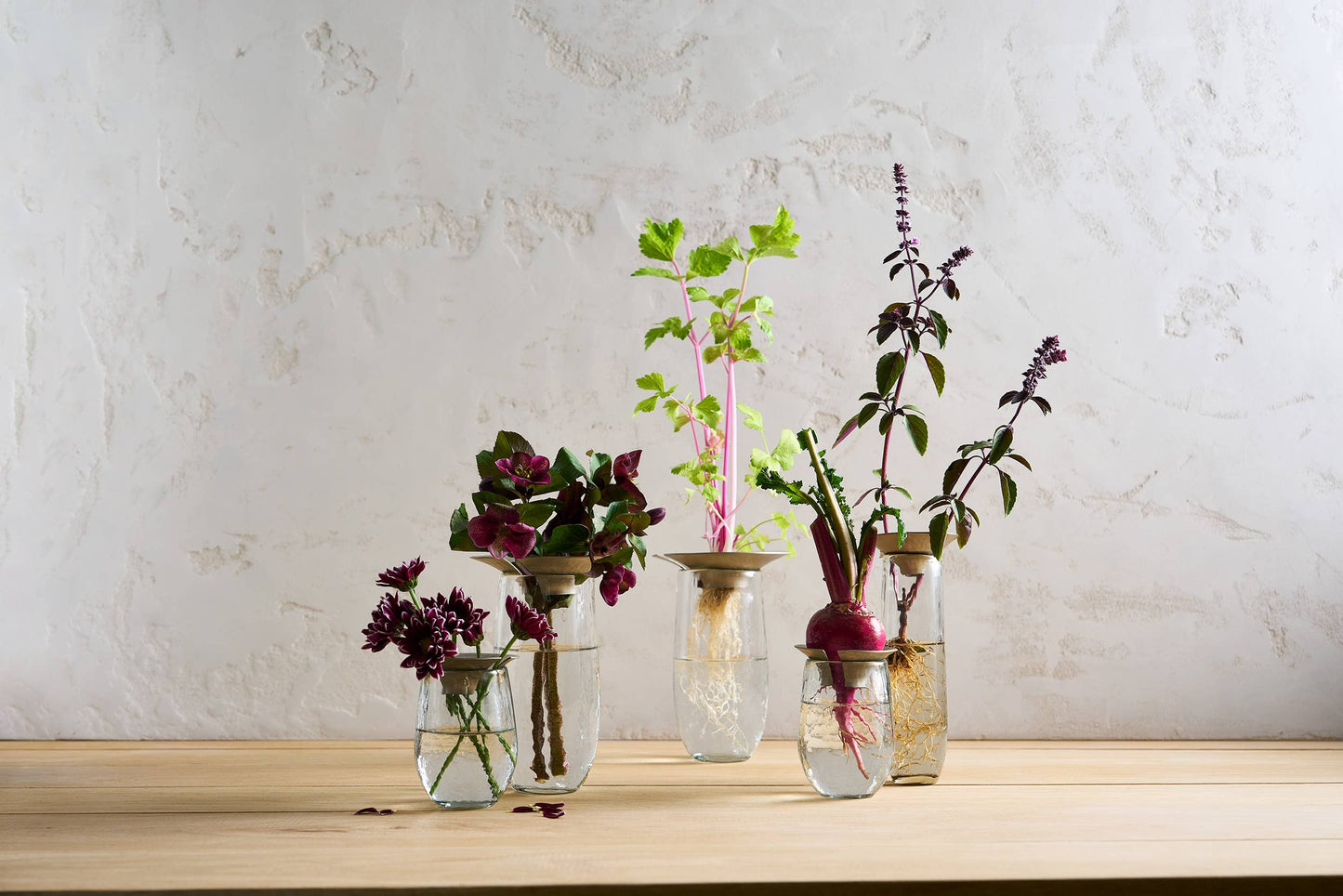 Floral Propagation Flutes - Set of 3