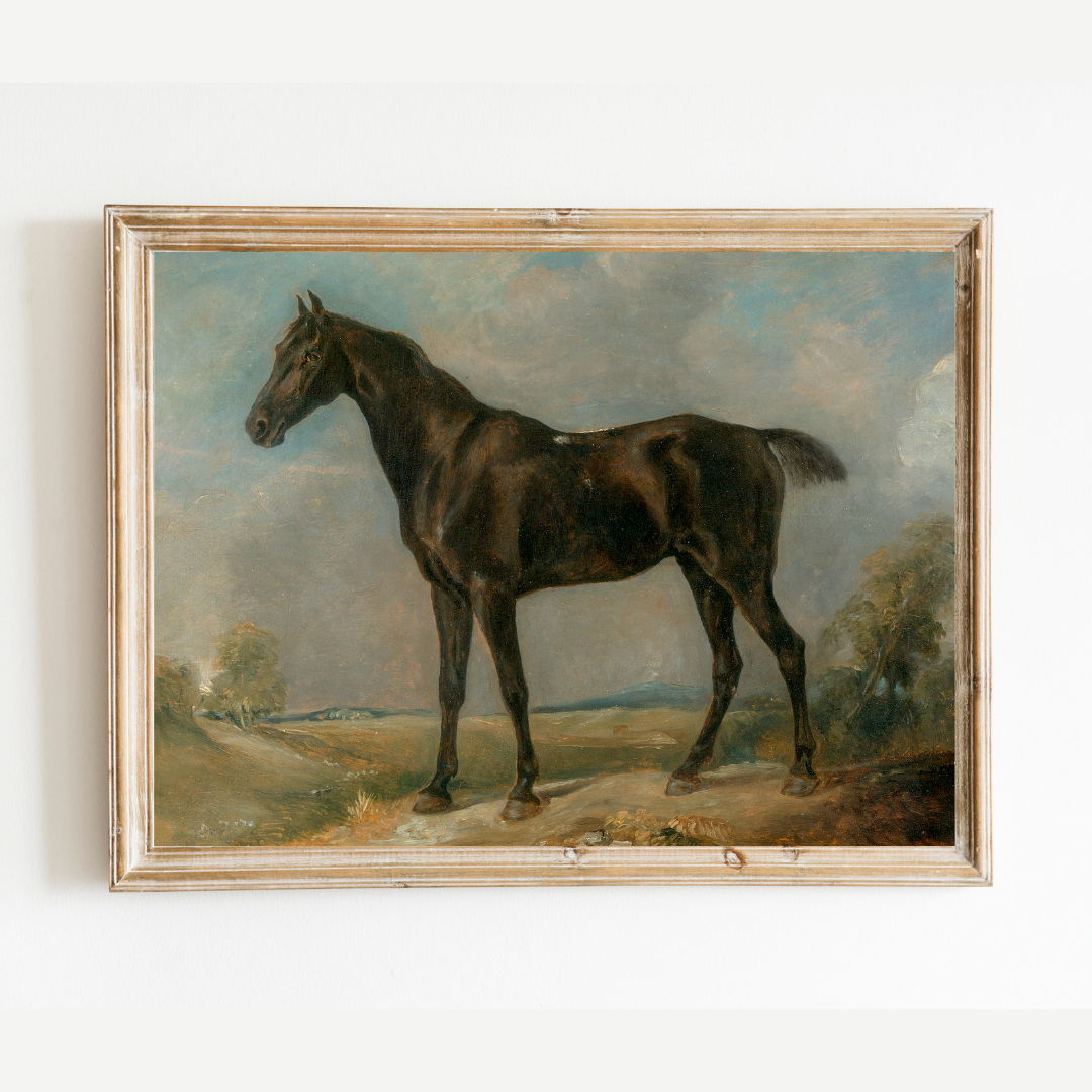 Black Riding Horse Antique Art Print