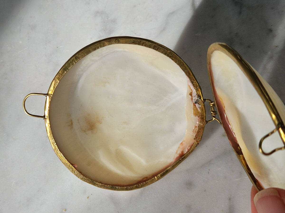 Mini Clam Trinket Pill Box & Coin Purse