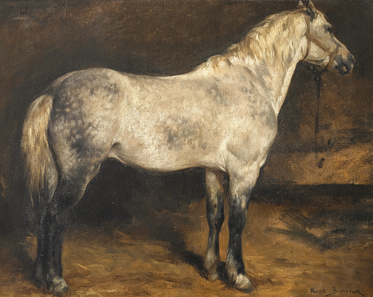 Dapple Grey Horse Antique Art Print