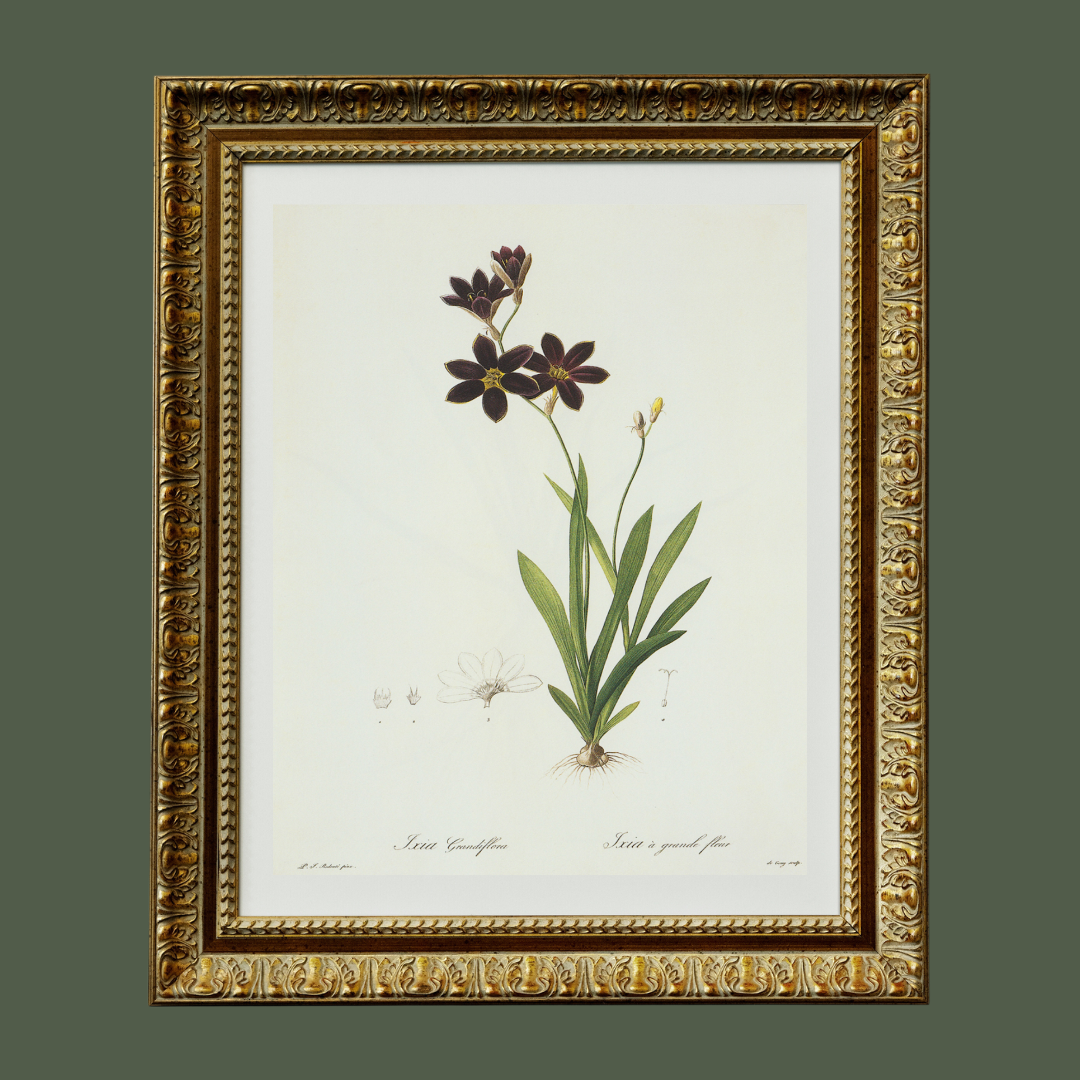 Dark Purple Wildflowers Antique Art Print