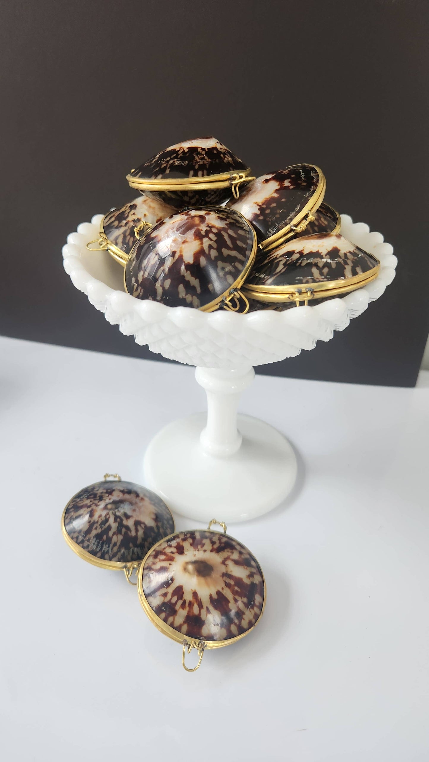 Polished Limpet Trinket Pill Box, Coin Purse