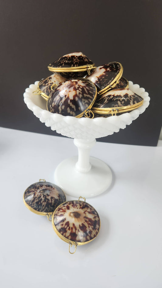 Polished Limpet Trinket Pill Box, Coin Purse