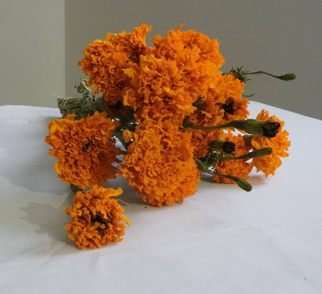 Marigolds