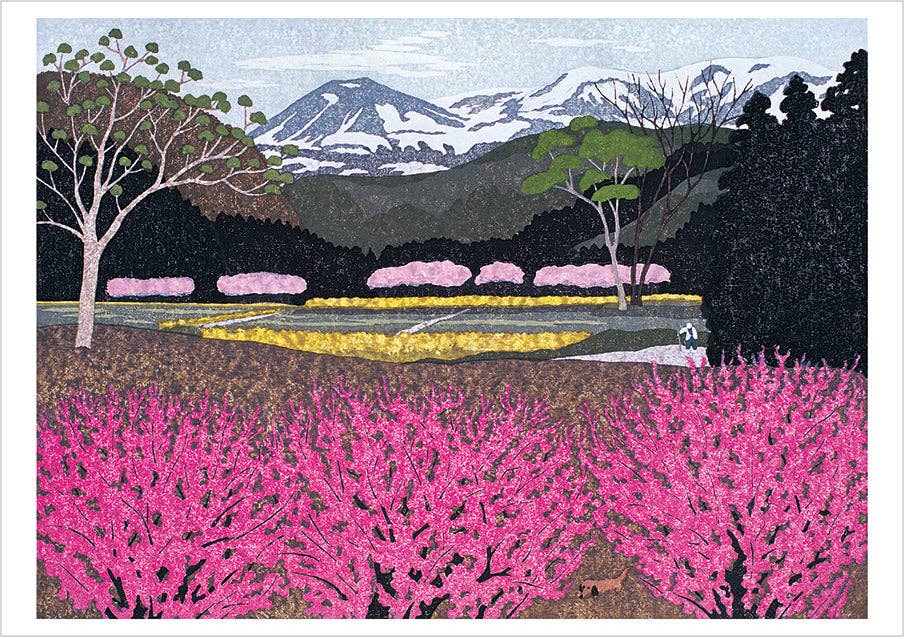Kazuyuki Ohtsu: Cherry Trees Boxed Notecard Assortment