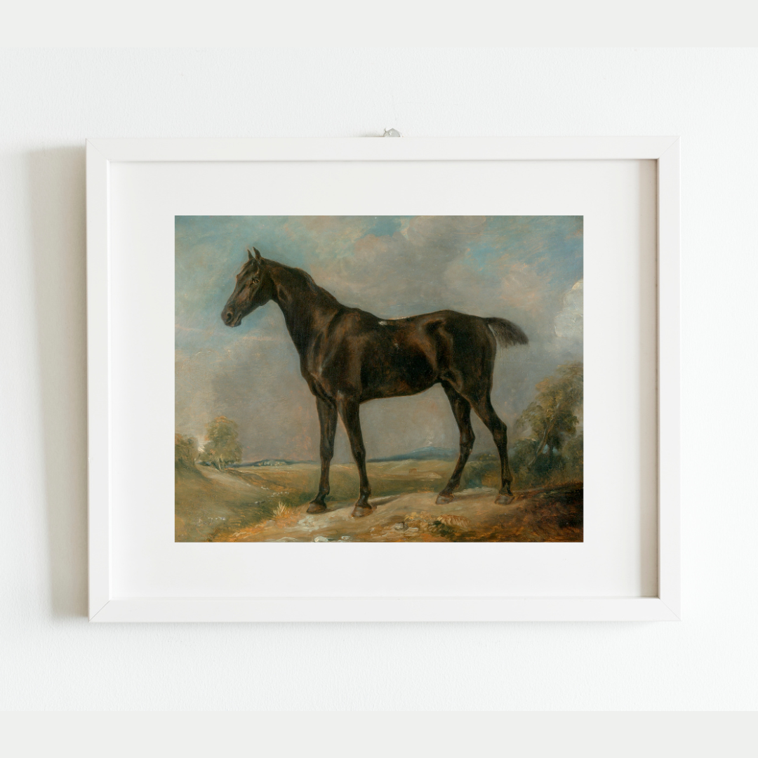 Black Riding Horse Antique Art Print