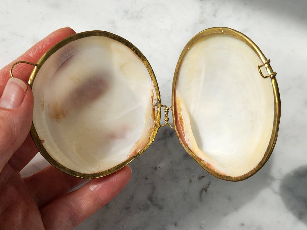 Mini Clam Trinket Pill Box & Coin Purse
