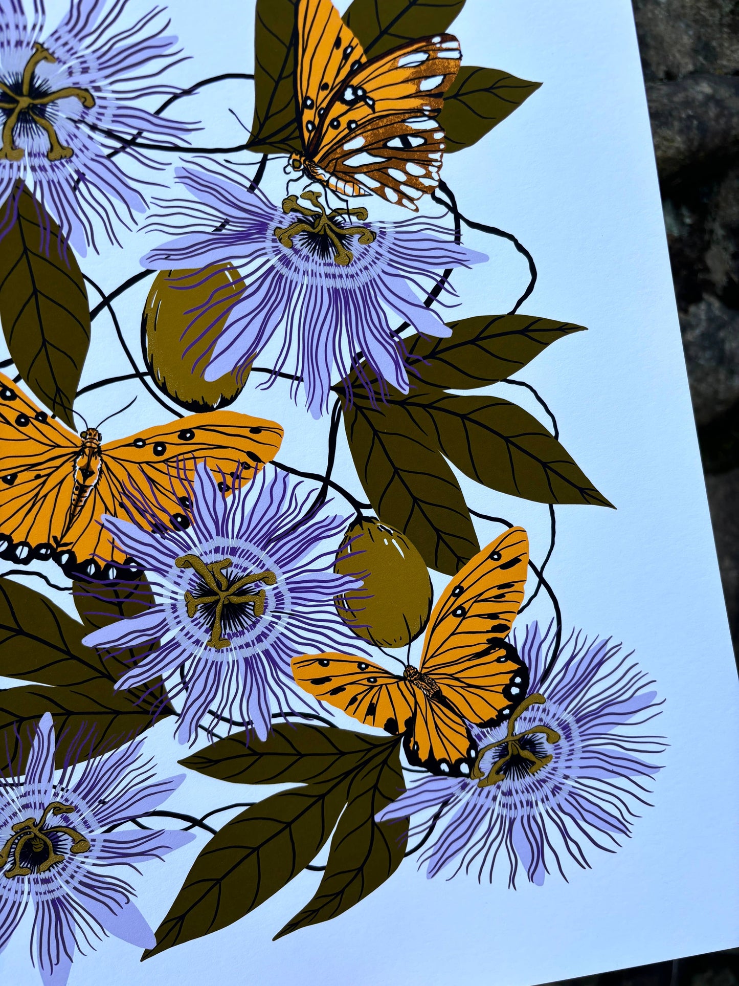 Passionflower - 14x11 Print