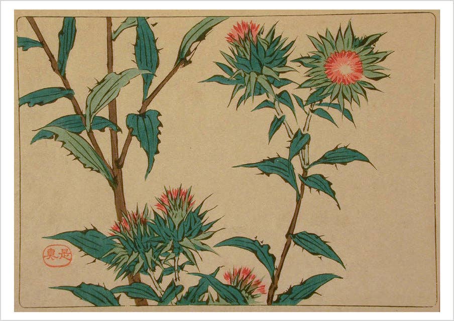 Shibata Zeshin: Thistles Notecard
