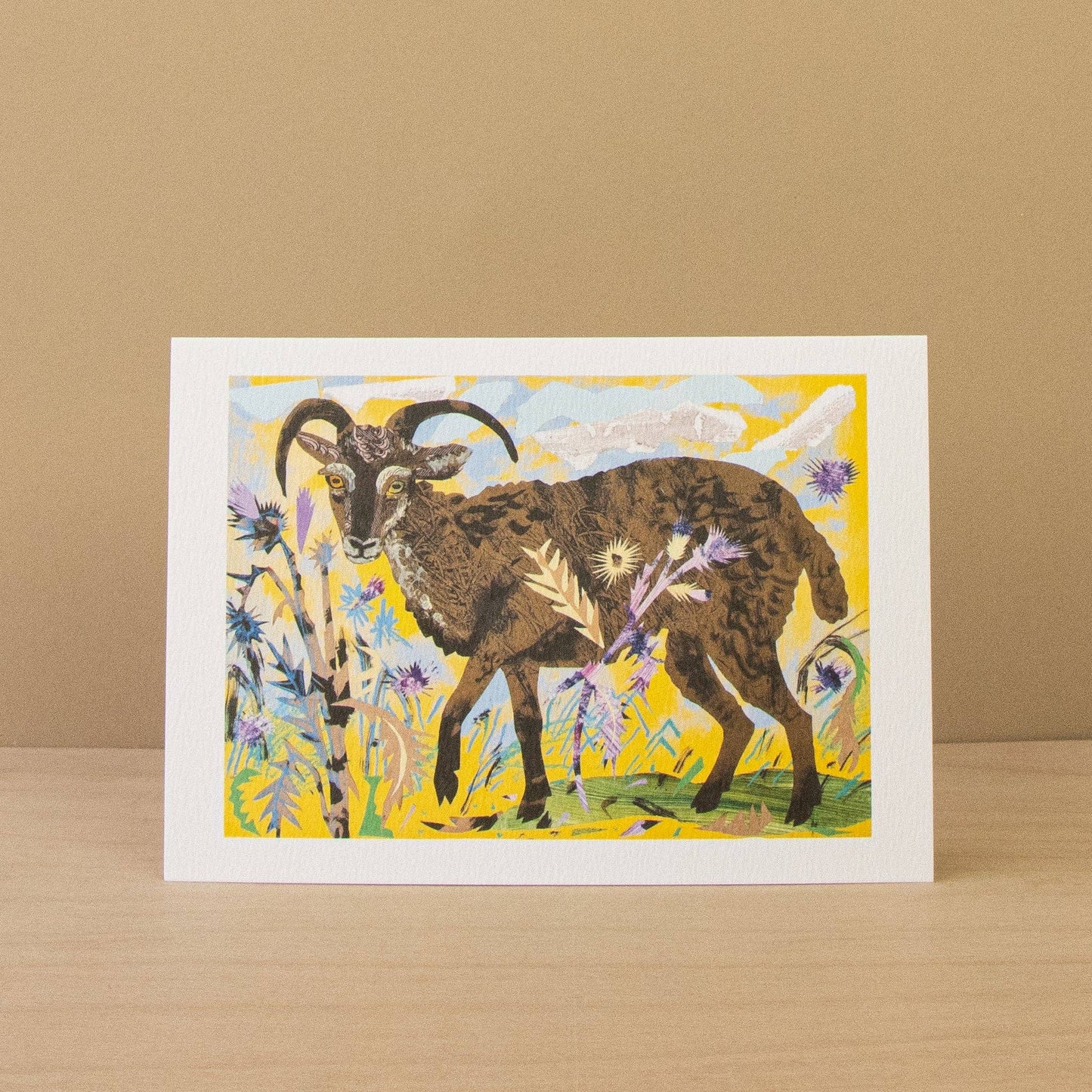 Soay Sheep & Hare