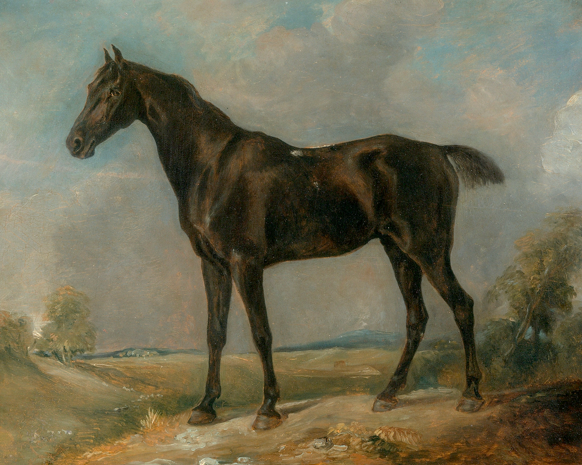 Black Riding Horse Antique Art Print