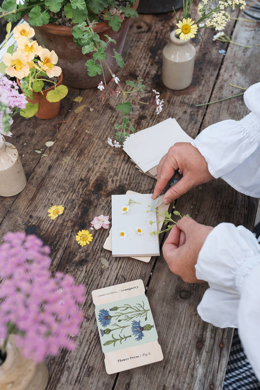 Pocket Flower Press - Vintage Cornflower