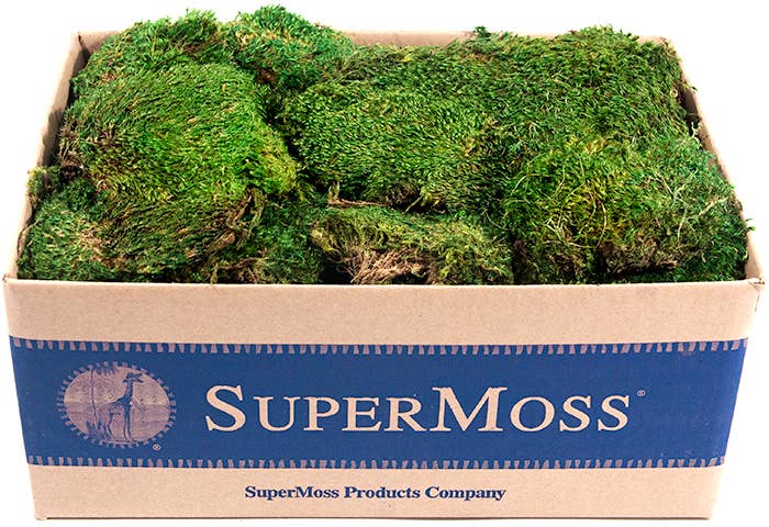 Mood Moss Preserved 3lb Box