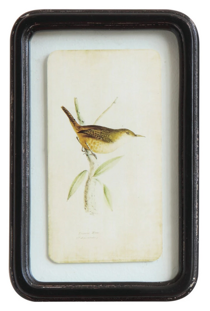 Vintage Style Framed Bird Prints