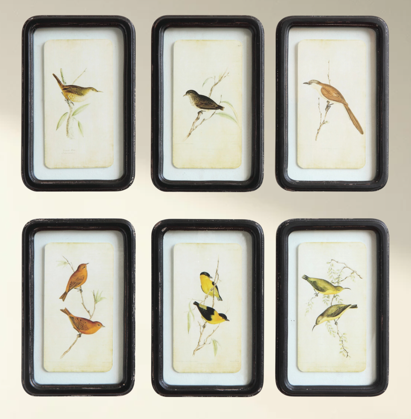 Vintage Style Framed Bird Prints