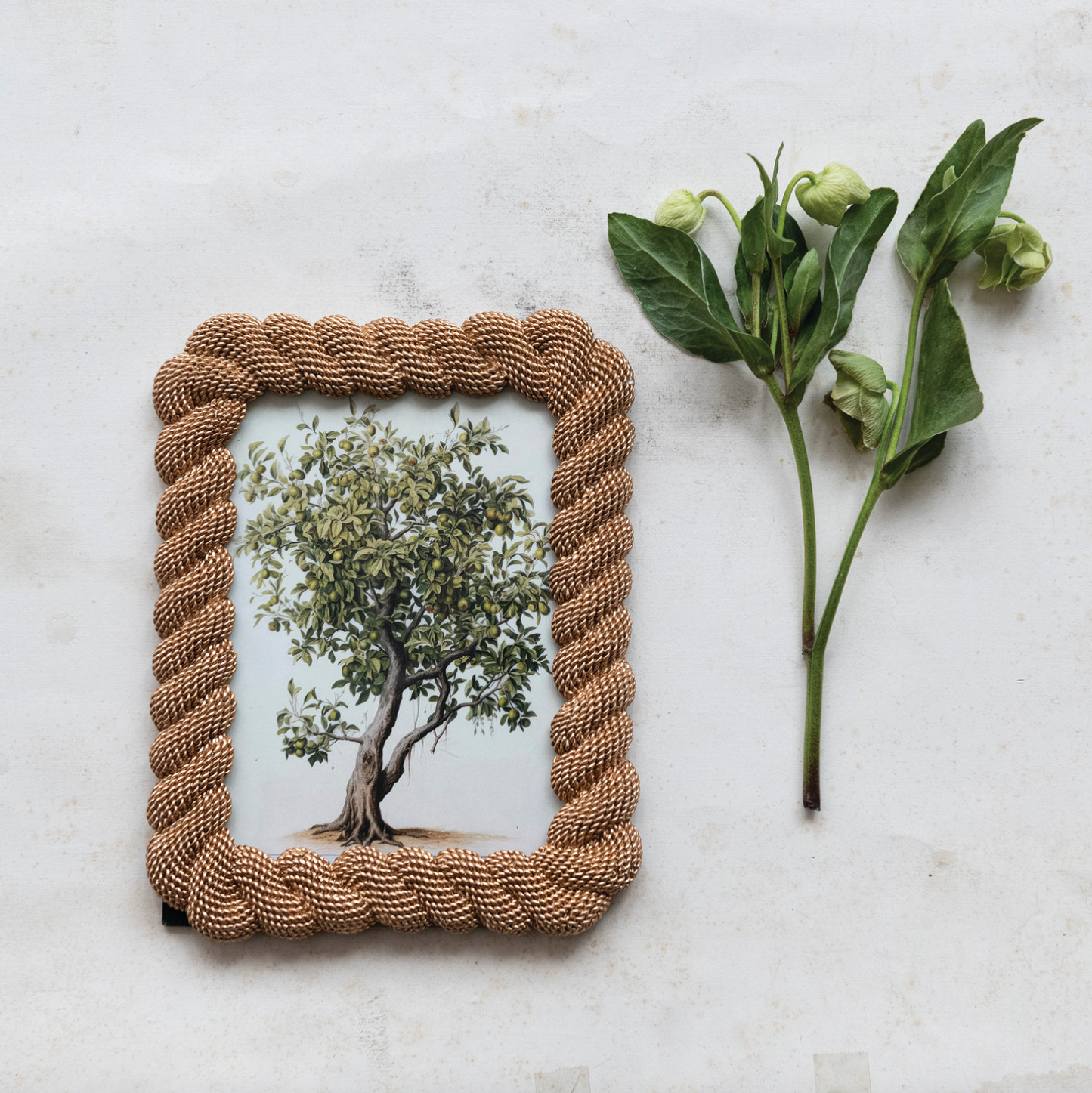 Rope Photo Frame