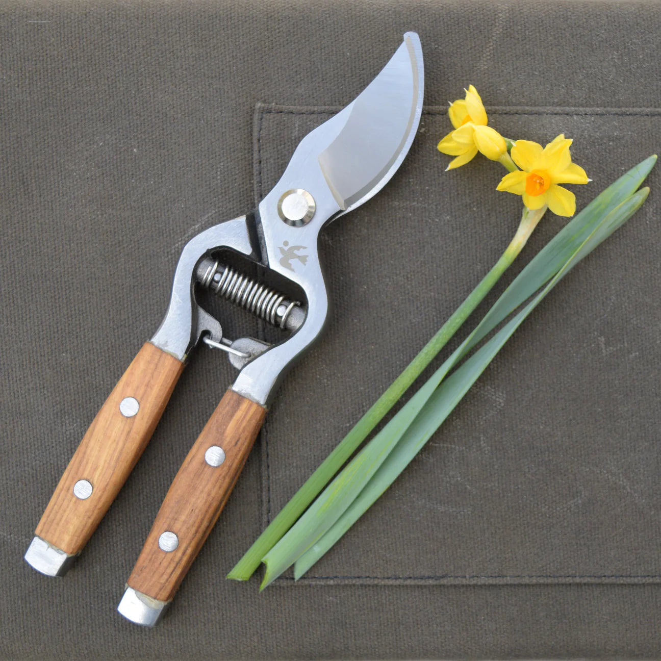 Ash Wood Secateurs