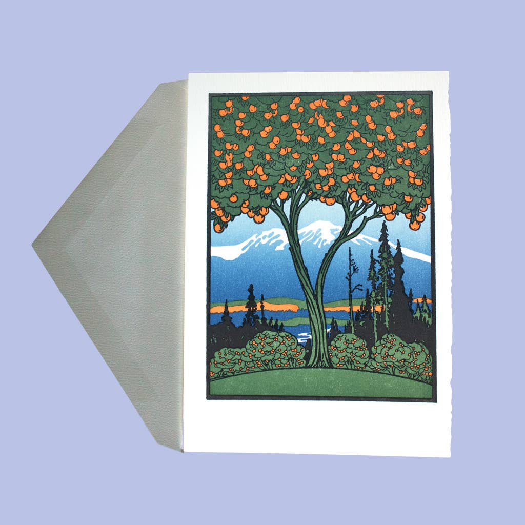 Orange Tree