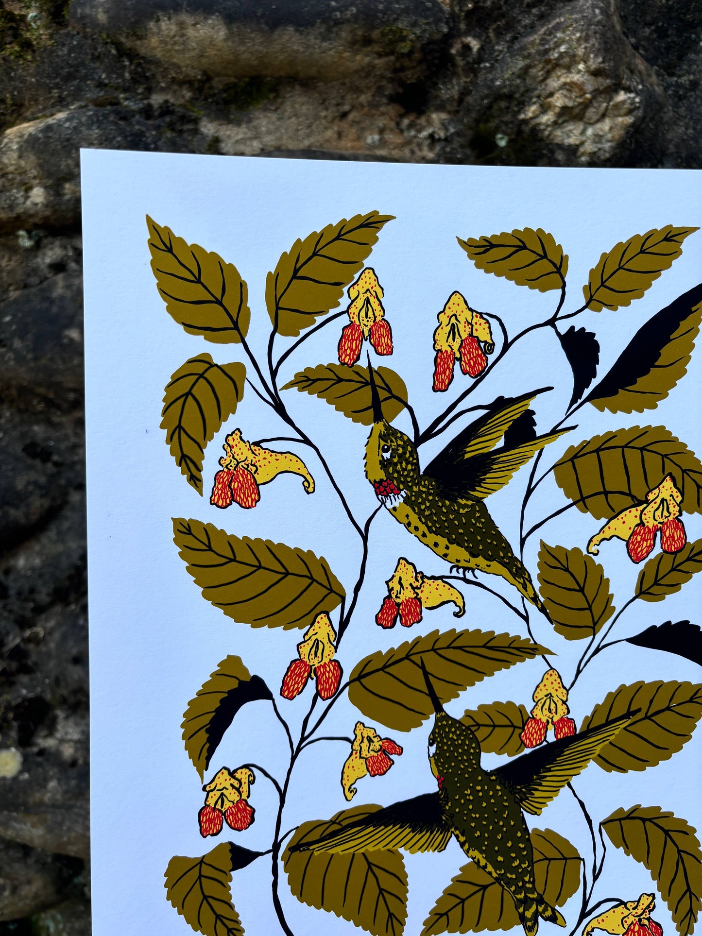 Jewelweed - 14x11 Print