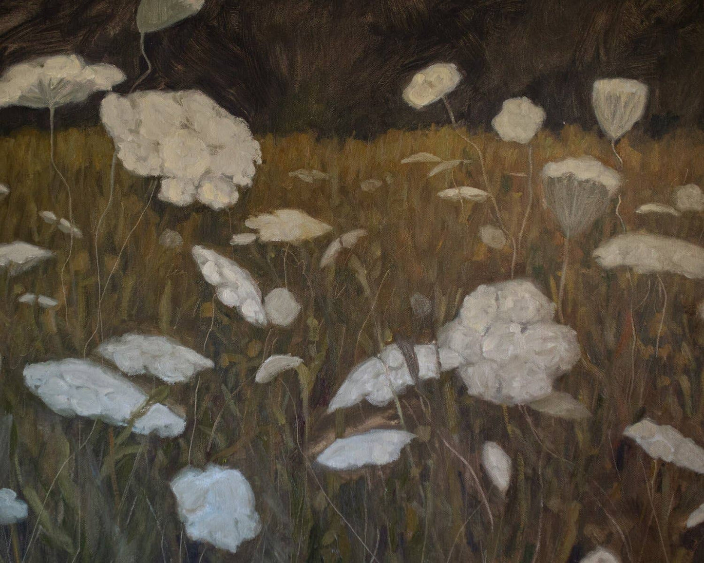 "Queen Anne's Lace"  Fine Art Print