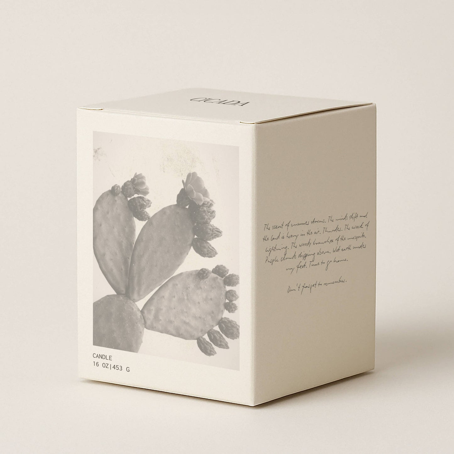 No. 09 Large Candle - Prickly Pear