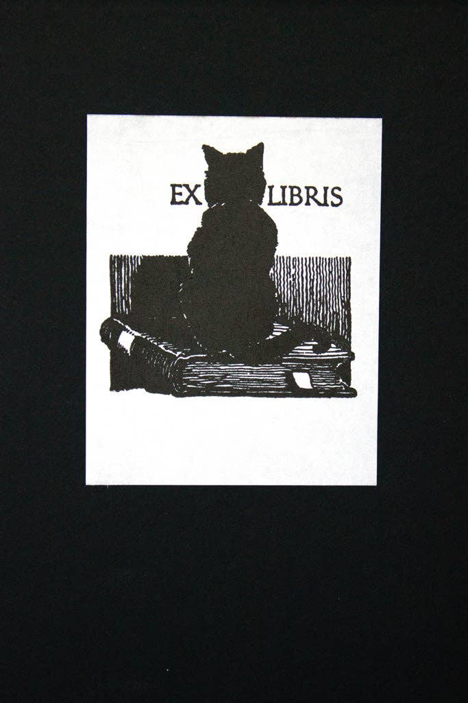 Cat on Book