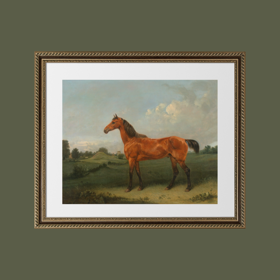 British Bay Horse in a Field Antique Art Print