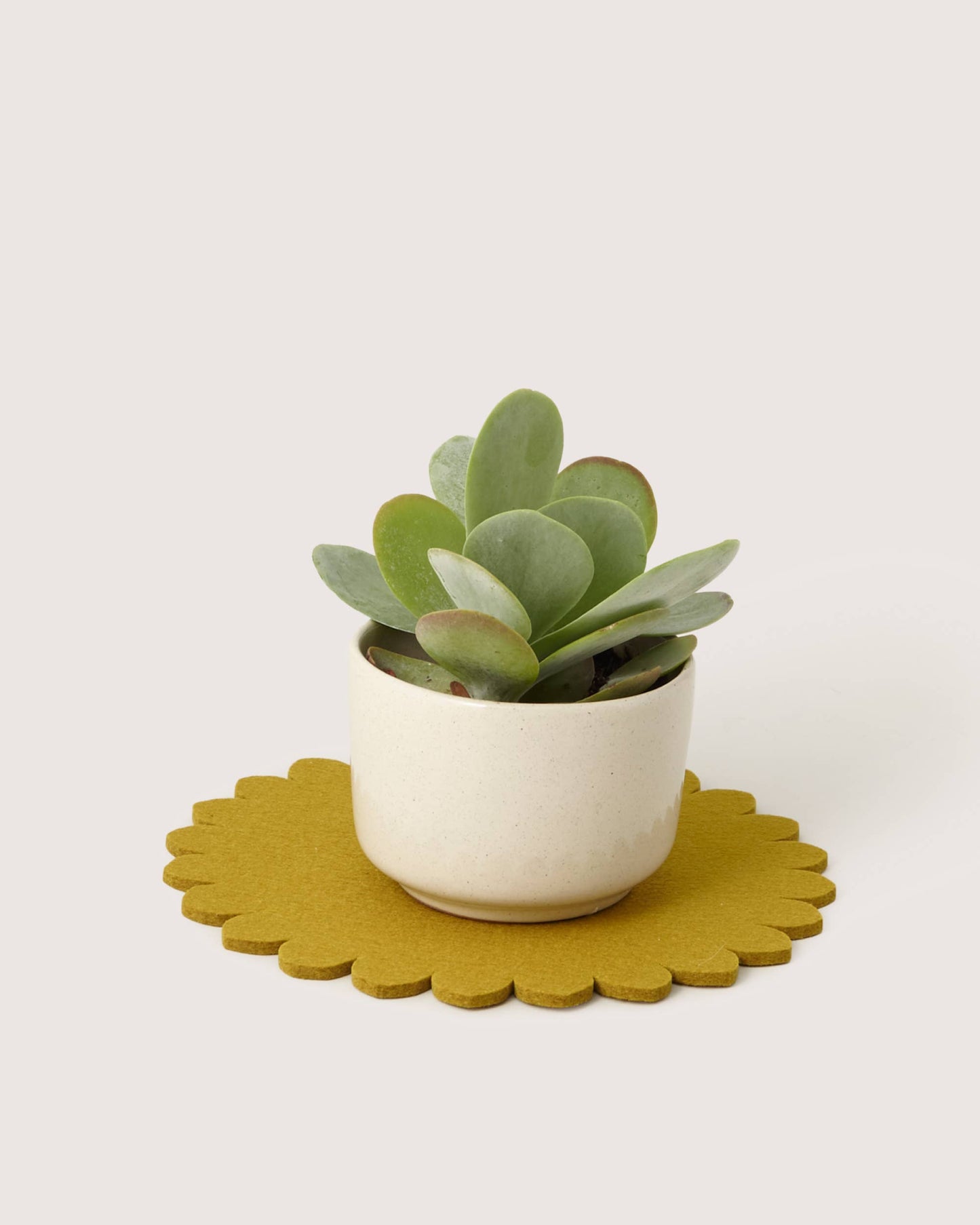 Crest Merino Wool 10" Trivet - Dandelion