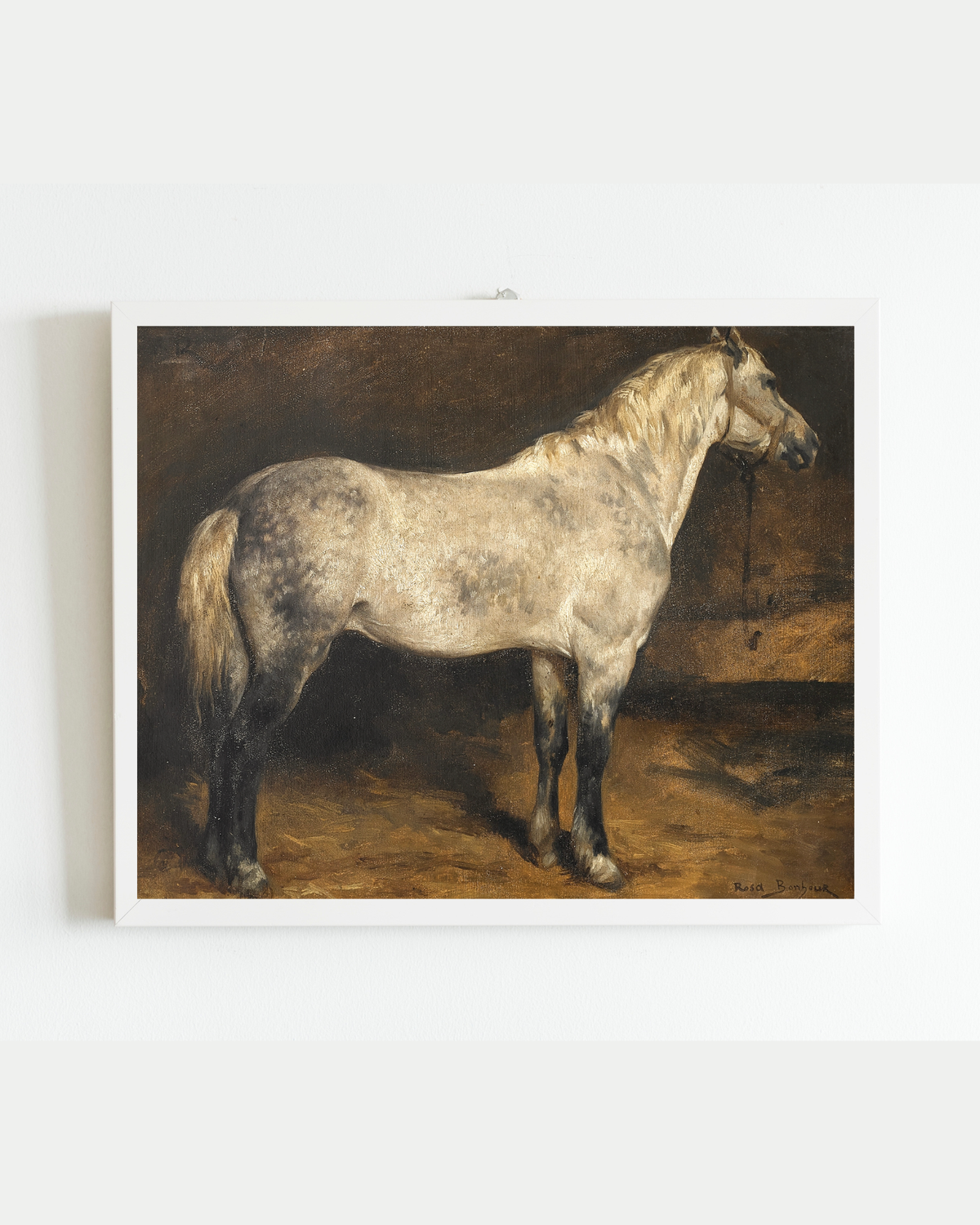 Dapple Grey Horse Antique Art Print