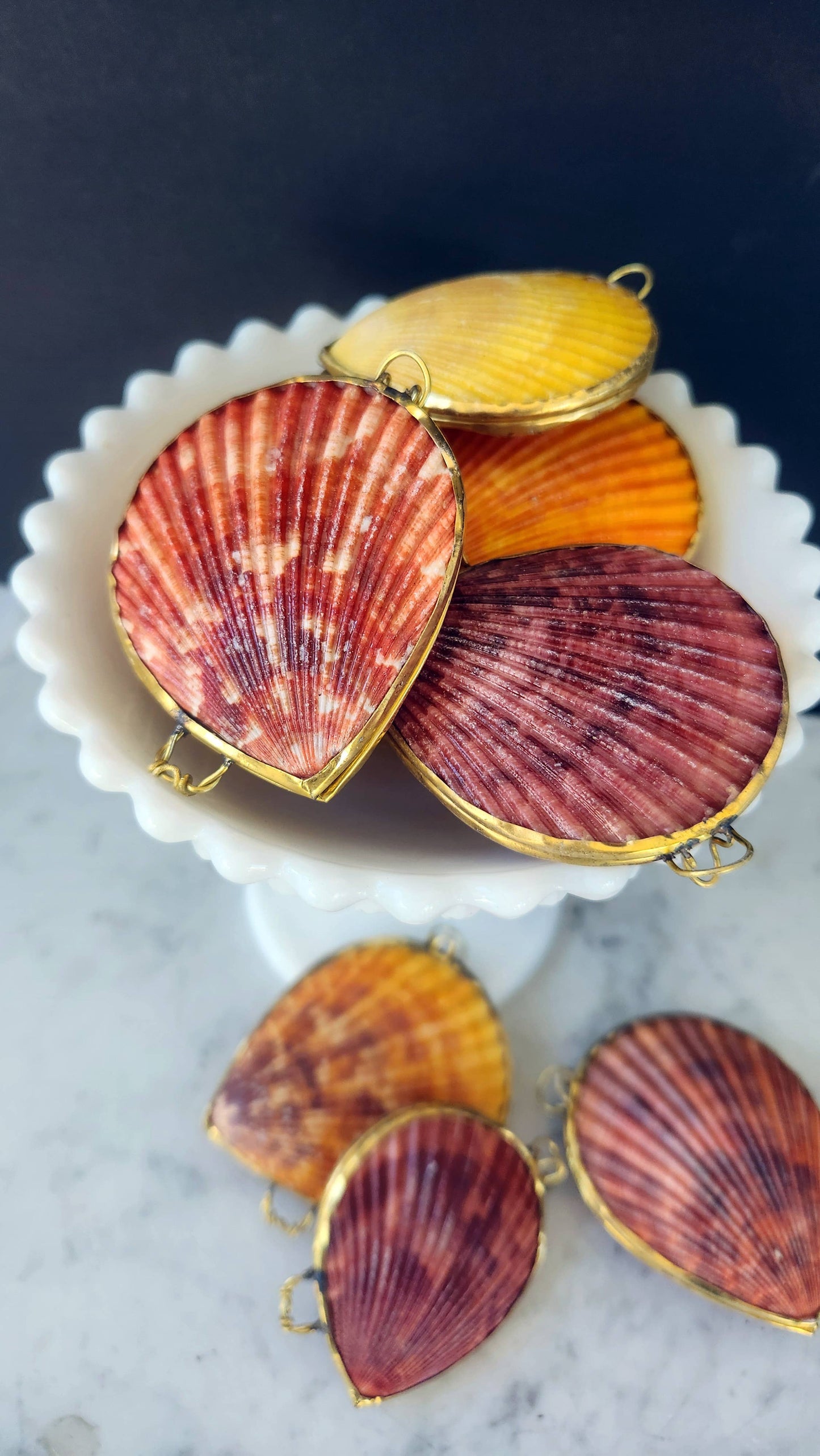 Noble Pectin Trinket Pill Box & Coin Purse